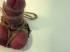 CBT cock tied up on the bondage board