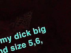 Big dick ,size is it