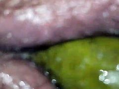 Pickle fucks fat hairy pussy set to smooth jazz