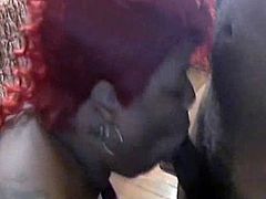 sexy black bbw Ms Redd sucking dick while looking sexy with her new red hair doo, so sexy guy can't even hold himself together while she is giving him some sloppy top, do check this clip out.