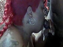 sexy black bbw Ms Redd sucking dick while looking sexy with her new red hair doo, so sexy guy can't even hold himself together while she is giving him some sloppy top, do check this clip out.