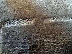 Pissing on my bedroom carpet