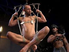 Tied by clever knots of ropes, Chance Summerlin hangs in the air, from time to time receiving burning lashes and that's not all... Mousetraps are attached to his nipples, ears and balls... perhaps this is the most cruel torture I've ever seen. Join for more rough bdsm!