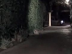 Lovely redhead babe gets big beef up her sphincter