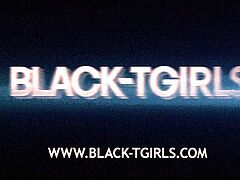 BLACK TGIRLS   We Want Mora