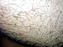 Girls Porn X