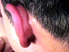 Danny Camacho Bogar Saza 1