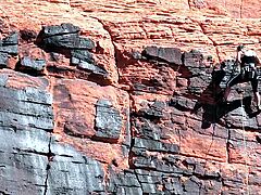 Shaved pussy MILF blowjob and fucking POV