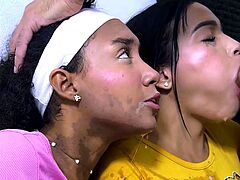 These LATINA TEENS blew my dick sloppy